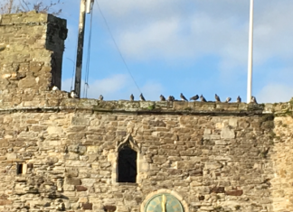 Landgate Good News Day