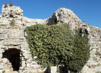 Conservation group visits Pevensey