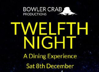 Twelfth Night for Christmas