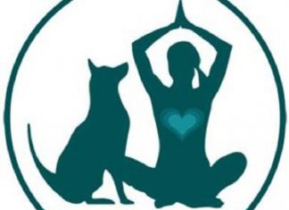 Healthy Dog…Happy You!