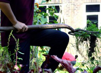 Creating hope for tomorrow