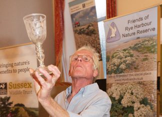 Halfway to being an expat