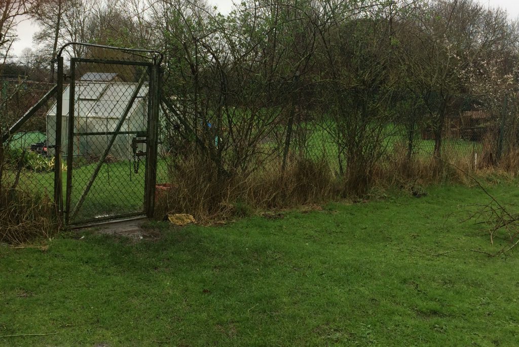 Love Lane allotments attract poet Rye News