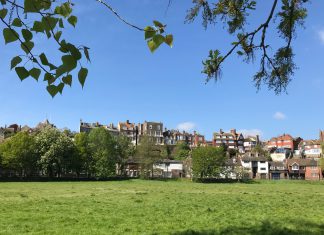 More local control for Rye? Let us know