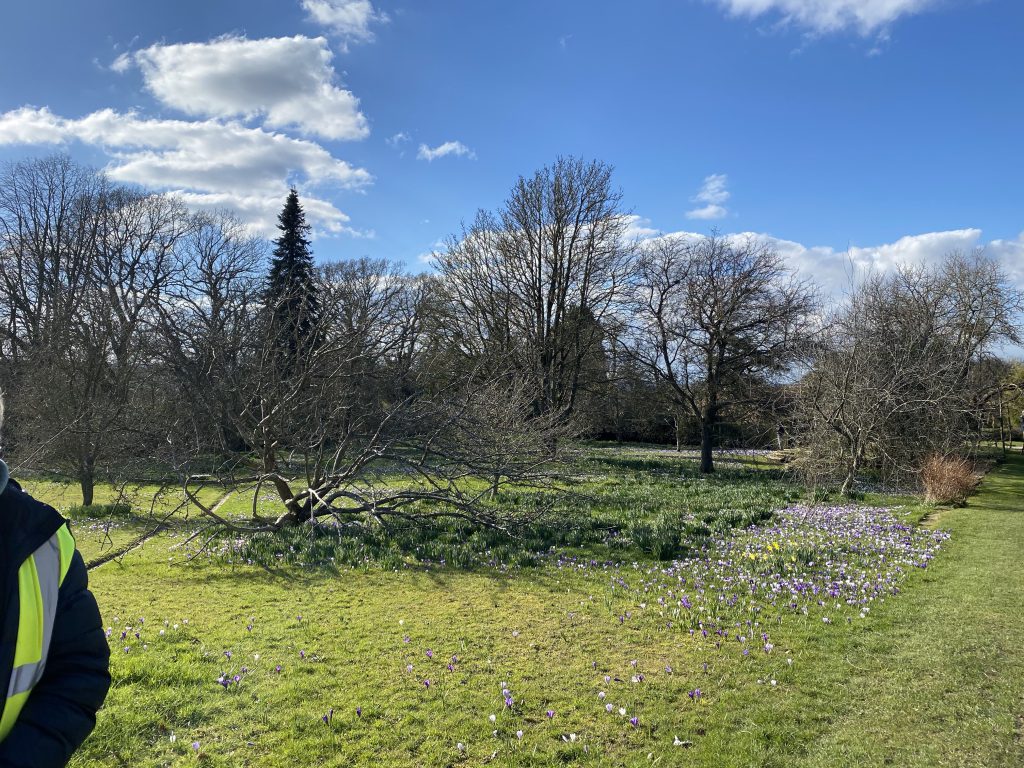 Great Dixter