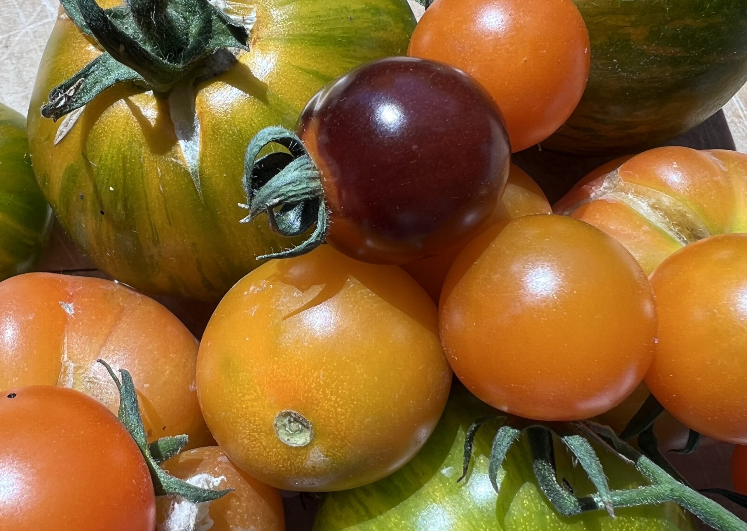 unusual tomatoes