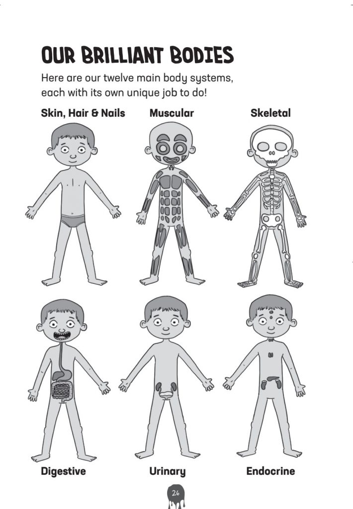 Bodies, brains and bogies explained Rye News