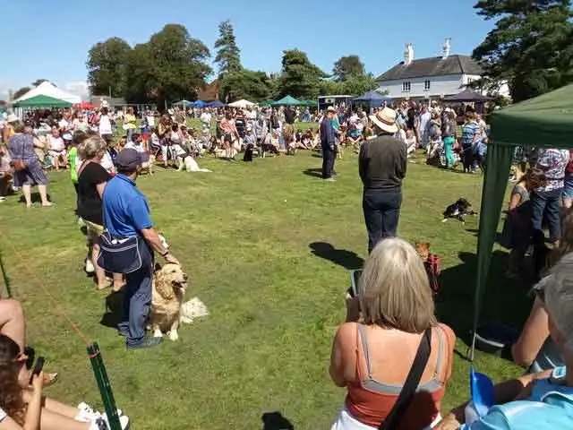 Winchelsea Summer Fete & Fun Dog Show