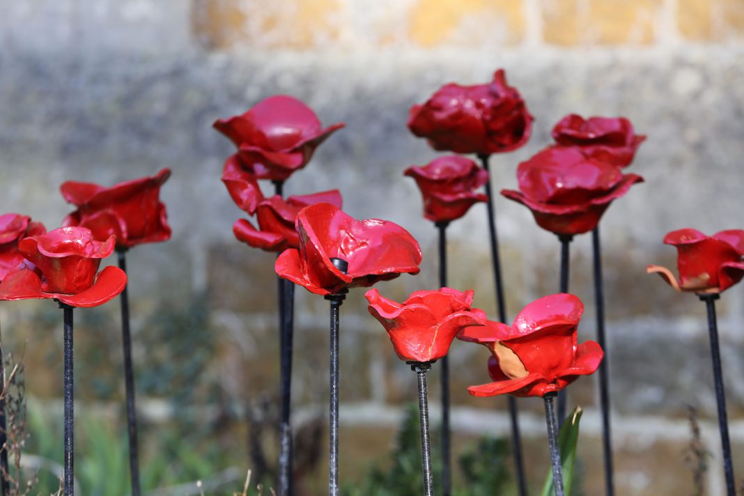 Why do we wear poppies? | Rye News