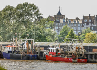 News in brief September 5