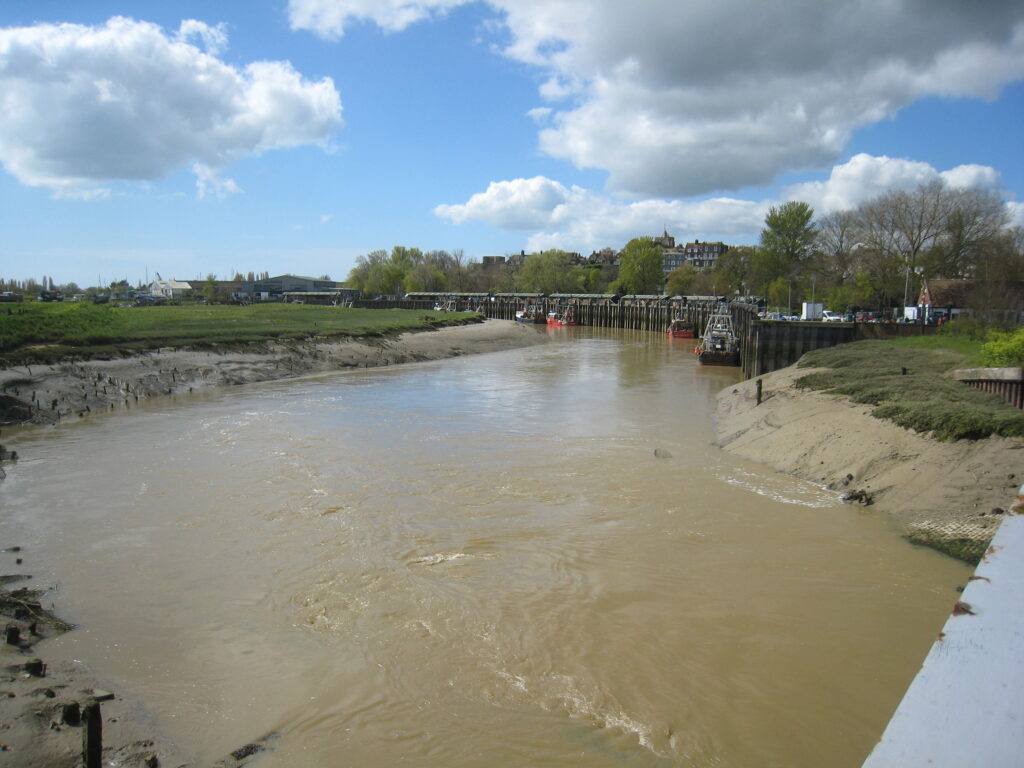 Bad tidings for river Rother | Rye News