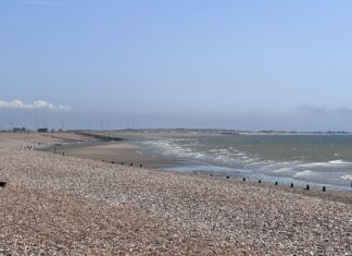 By royal appointment