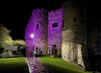 40 year fight against polio