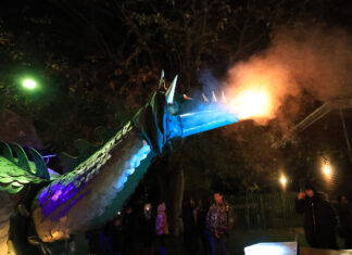 Scorcher – a favourite of the crowds