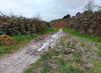 Cycle path options explored