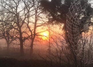 The original web designers