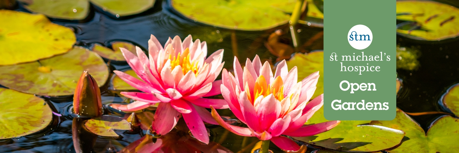 St Michael's Hospice Open Gardens - Pett