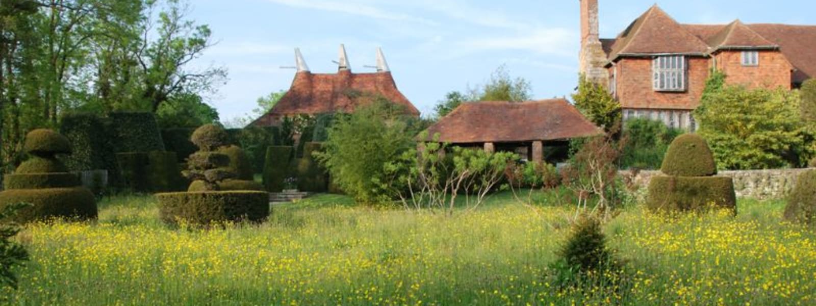 Meadow Gardening Study Day