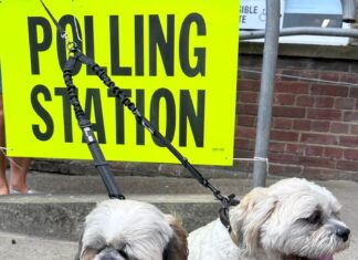 Sussex mayoral election 2026