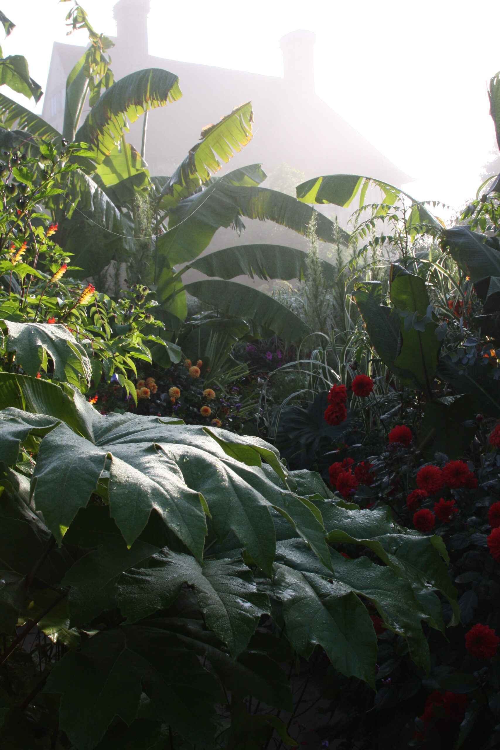 Behind the Scenes - October