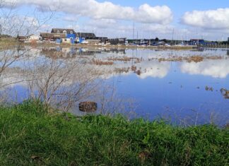 News in brief October 25