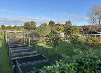 Secure future for allotments