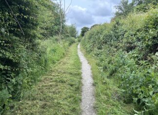 Roaming with the Romans