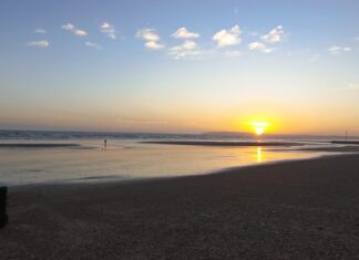 News in brief May 23