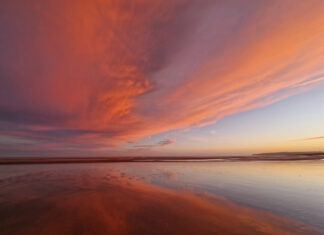 Weather Watchers take to social media