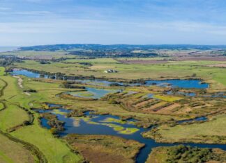 News in brief January 31