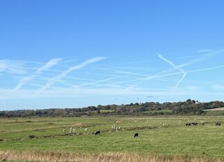 News in brief November 8