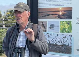 A huge amount of experience