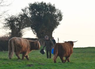 A hard road to Pett Level