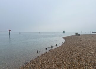 News in brief November 15