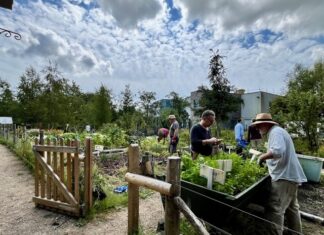 A year of reflection and renewal