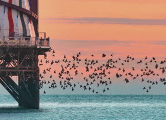 A free show from nature