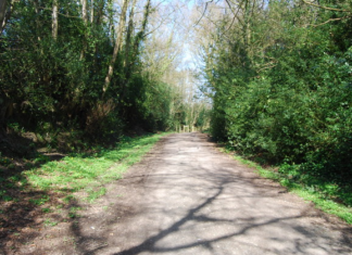 Housing in the High Weald