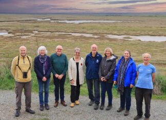 Volunteers honoured by King