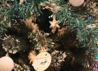 The most wonderful time of the year