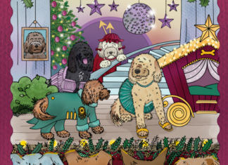 The Camberdoodles are back!