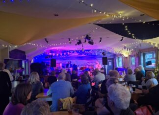 So much to choose from