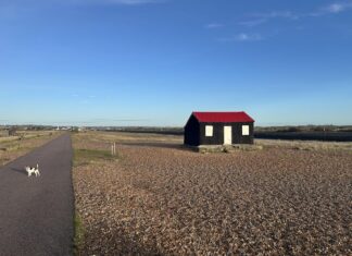 News in brief February 7