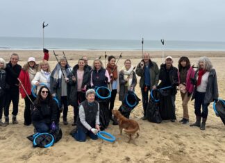 Camber community beach clean