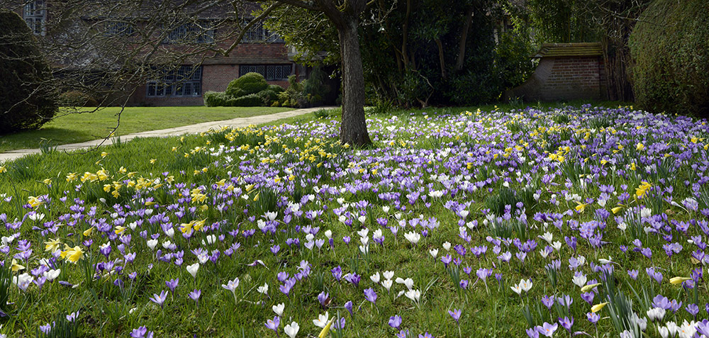 Behind the scenes at Great Dixter