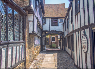 “Rye” – the book at bedtime