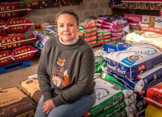 Feeding a hole in the market