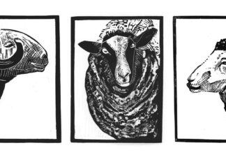 Strengthening our creative community