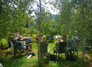 Community garden update