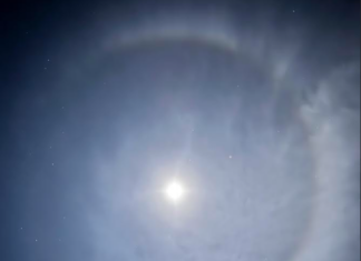 News in brief March 14