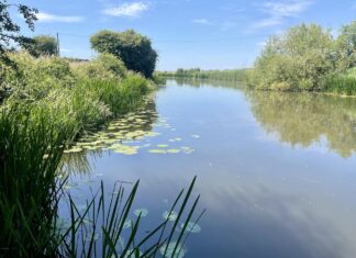 What’s in the river?